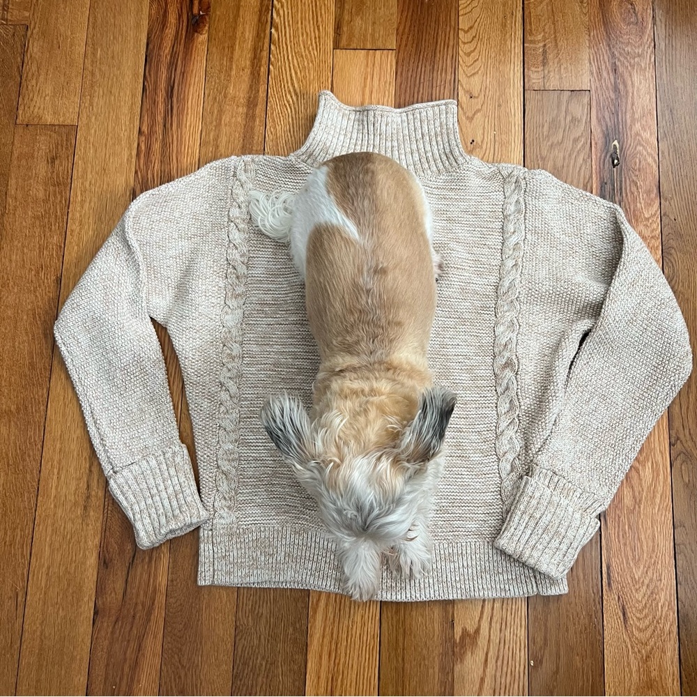 GAP Sweater - Picture 2 of 5